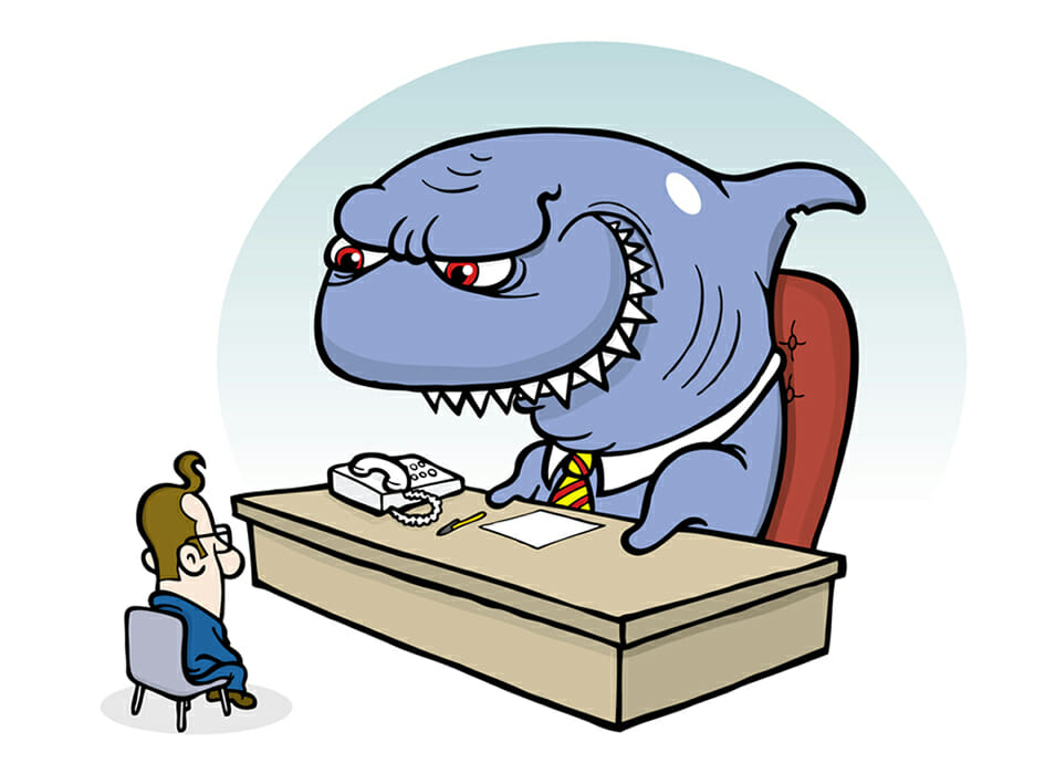 new-shark